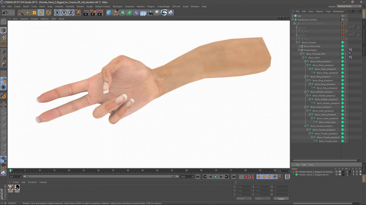 Female Hand 2 Rigged for Cinema 4D 3D model