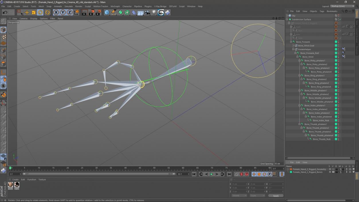 Female Hand 2 Rigged for Cinema 4D 3D model
