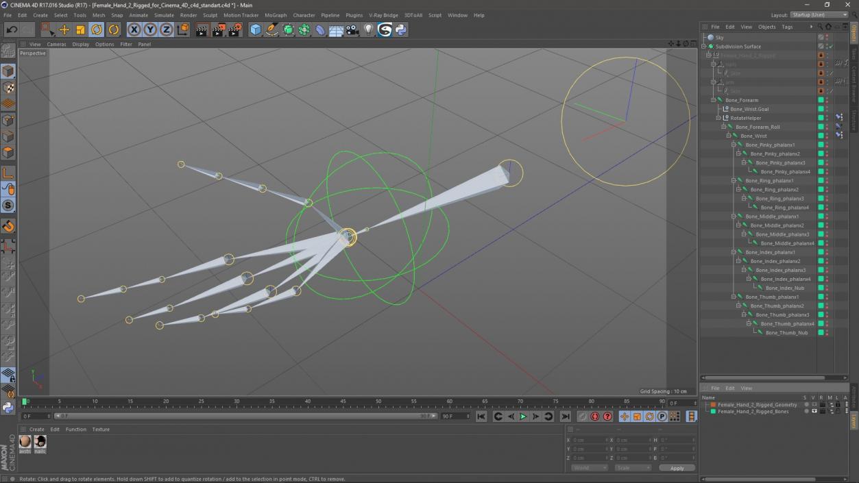 Female Hand 2 Rigged for Cinema 4D 3D model