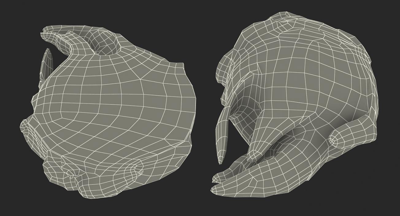 3D Cross Section Fruits Collection 3 model