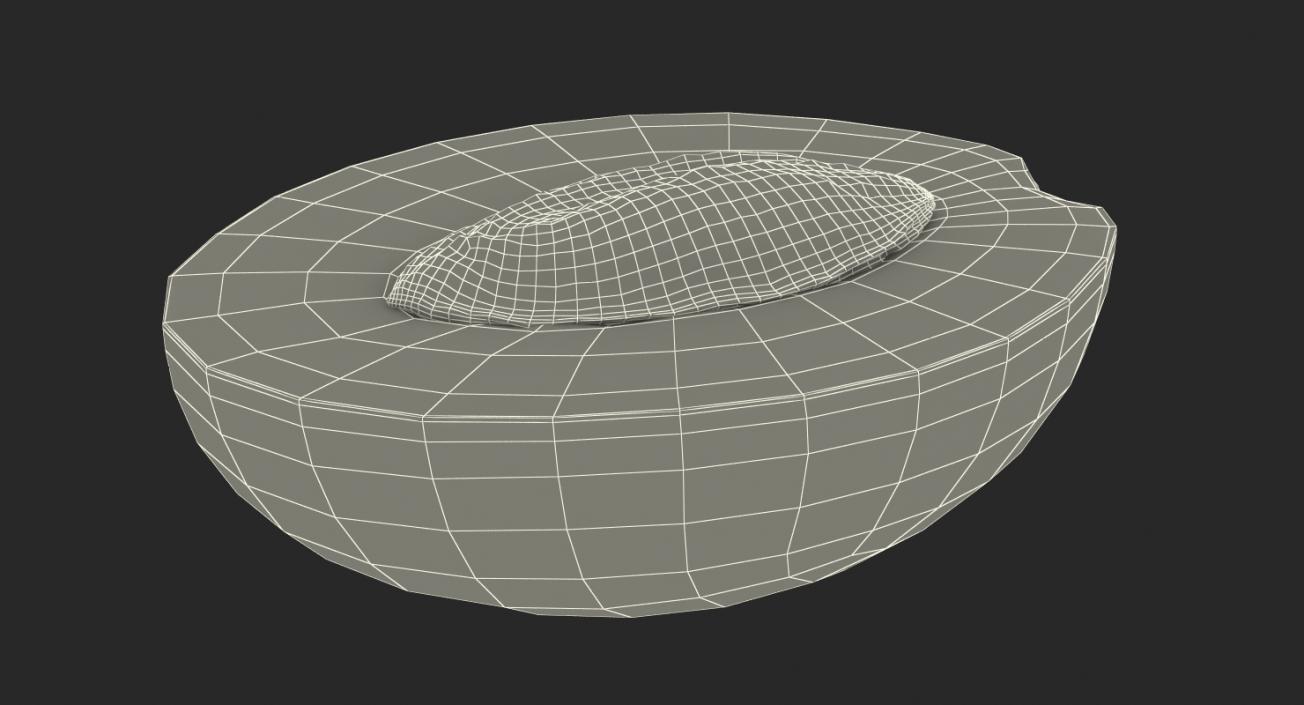 3D Cross Section Fruits Collection 3 model