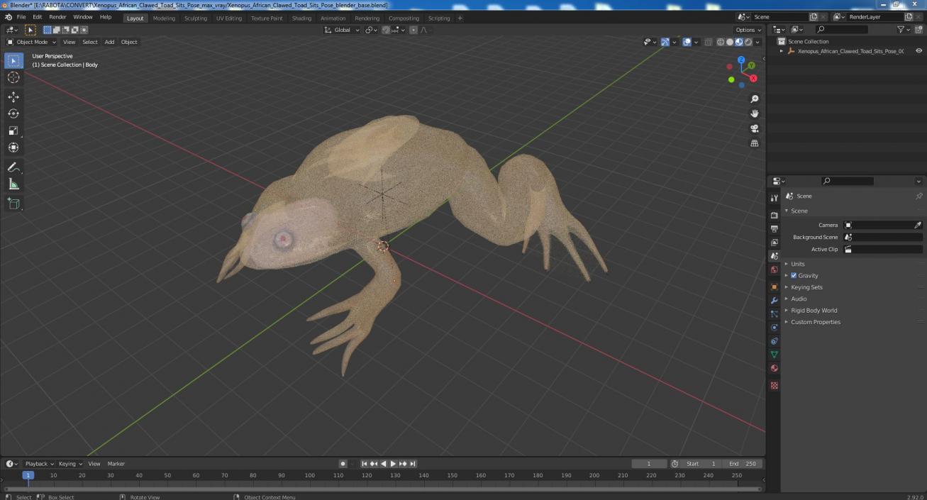 Xenopus African Clawed Toad Sits Pose 3D