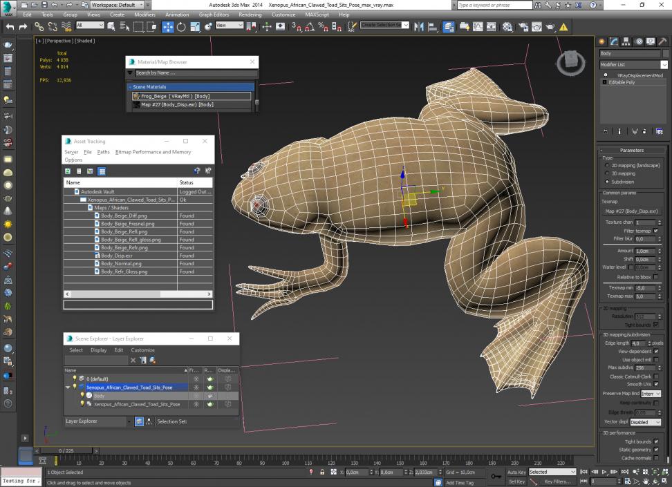 Xenopus African Clawed Toad Sits Pose 3D