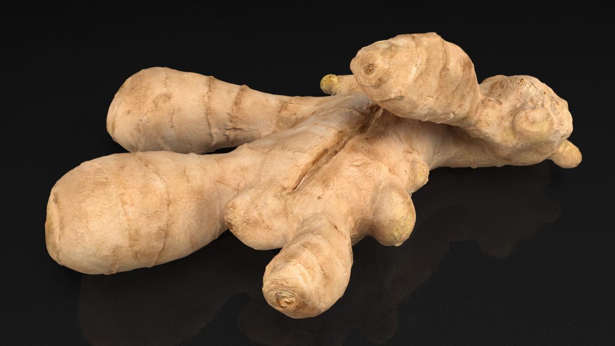 3D model Raw Ginger Root