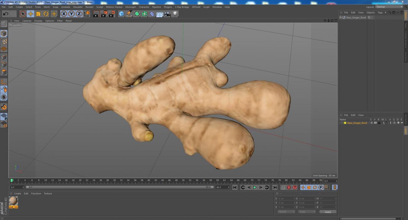 3D model Raw Ginger Root