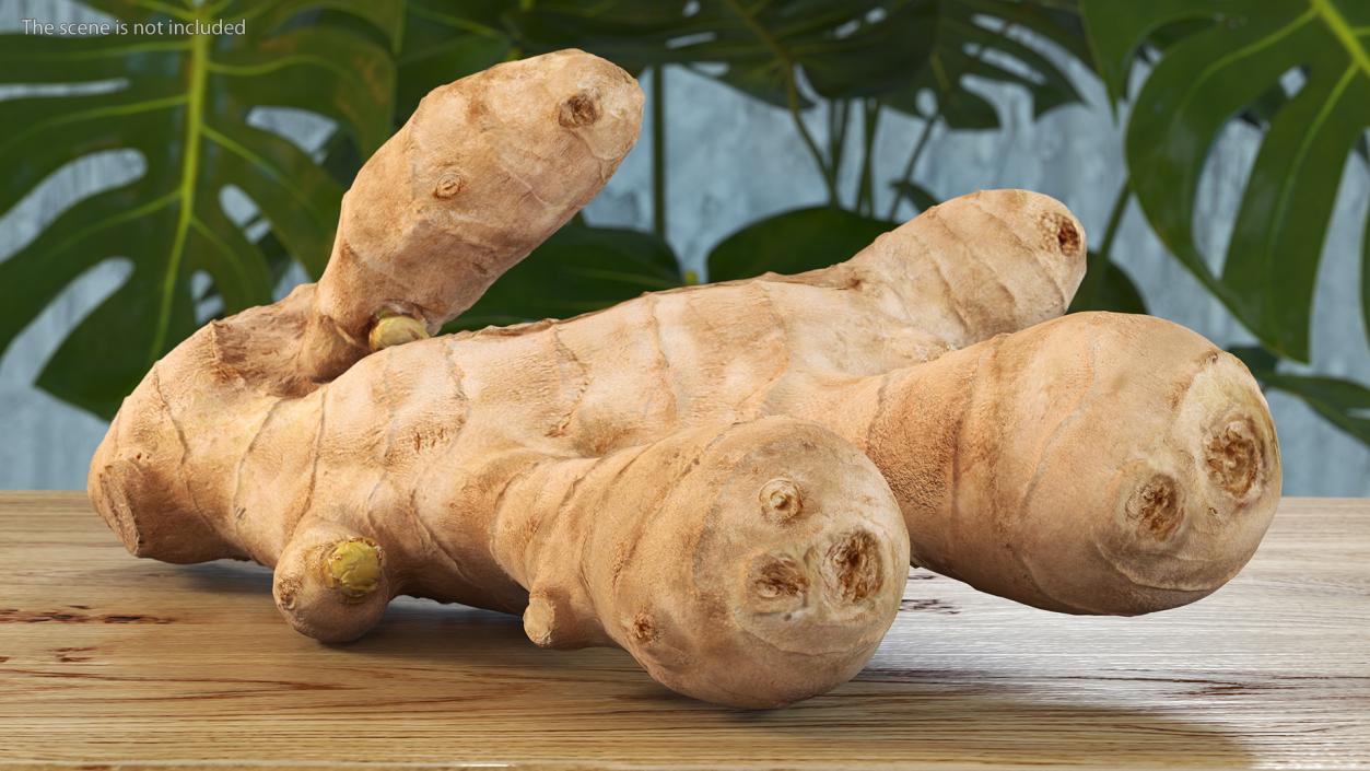 3D model Raw Ginger Root