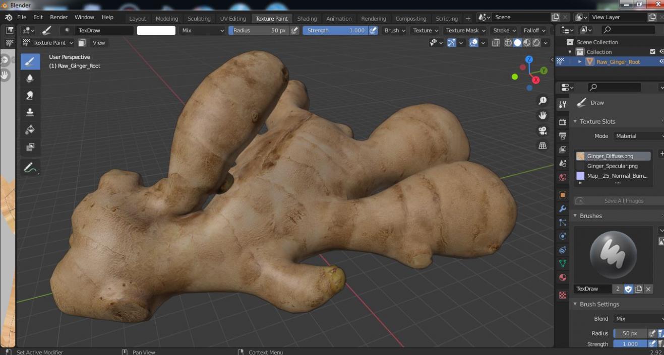 3D model Raw Ginger Root