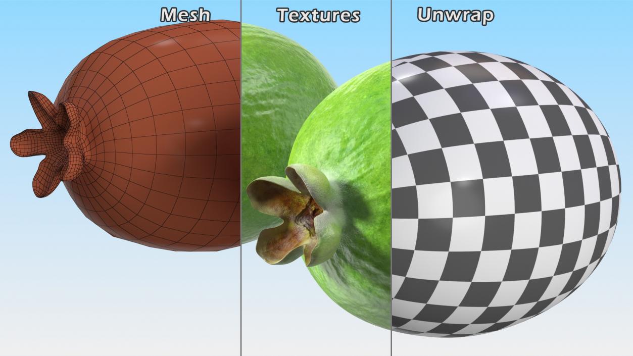 3D Exotic Fruits Collection 4