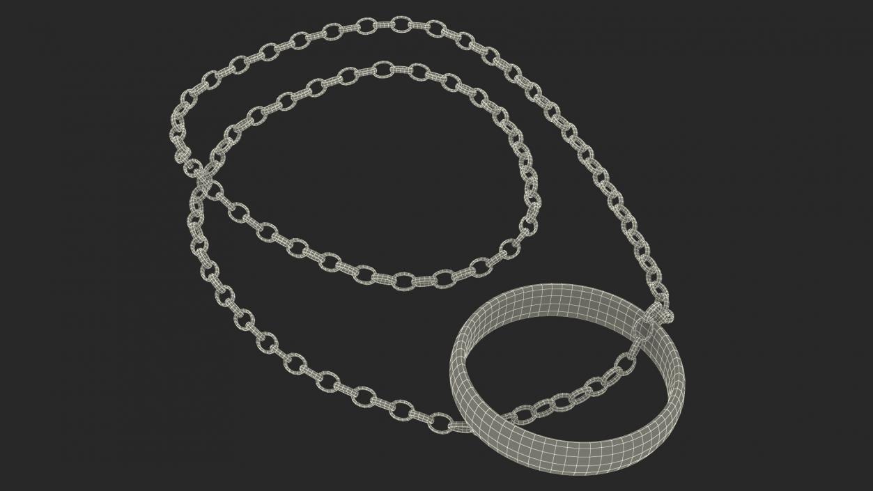 3D One Ring to Rule Them All with Chain