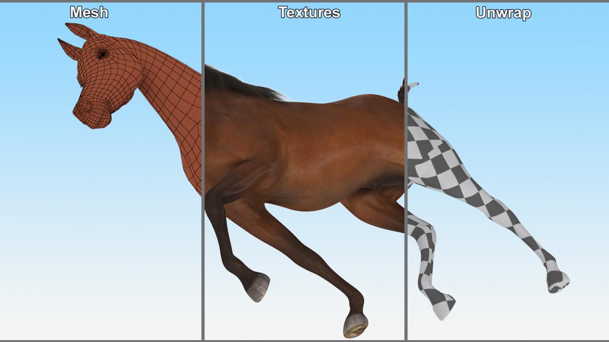 3D Walking Arabian Horse Brown Fur