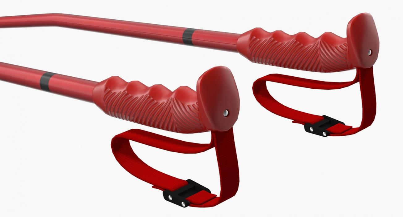 3D Red Ski Equipment Collection model