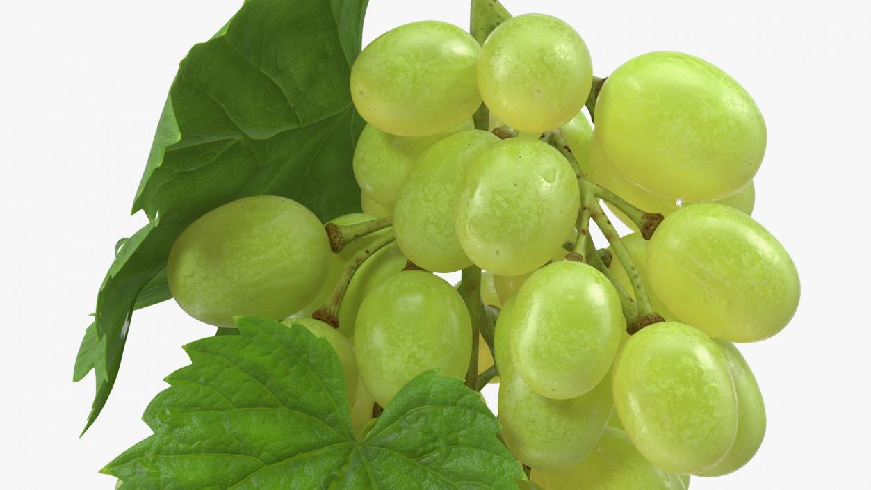 3D Bunch of Green Grapes