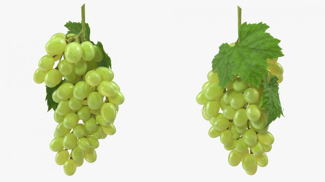 3D Bunch of Green Grapes