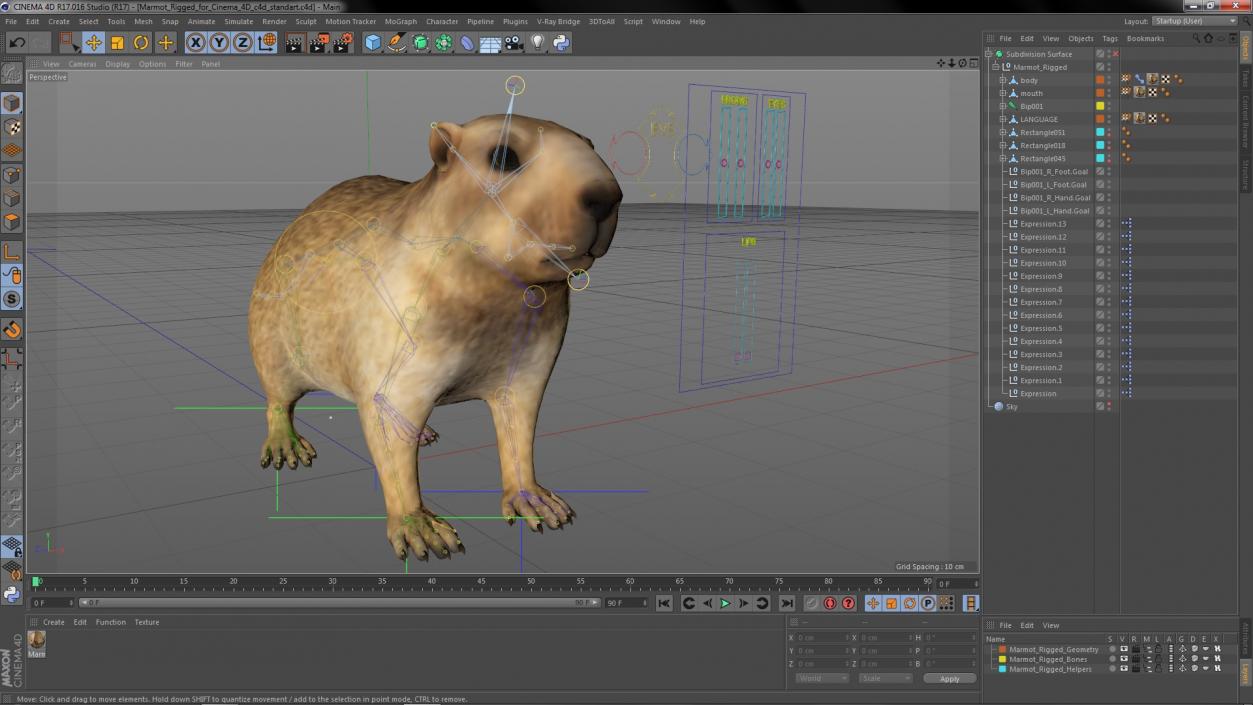 Marmot Rigged for Cinema 4D 3D