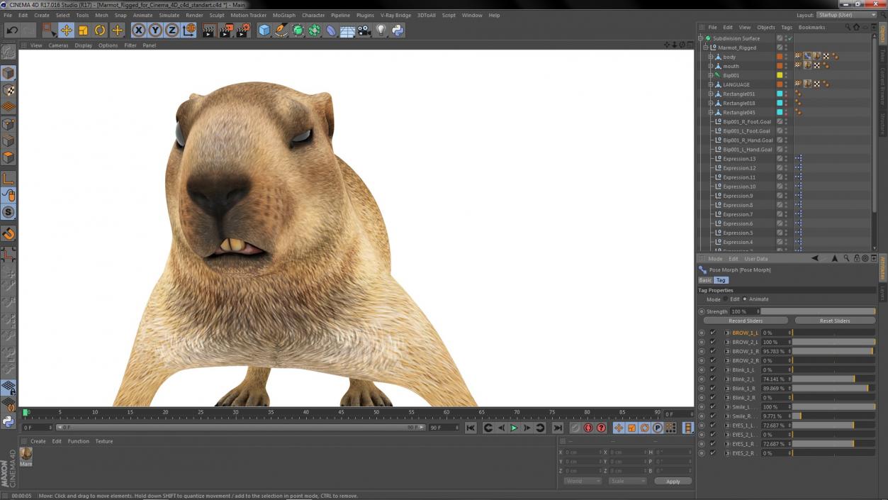 Marmot Rigged for Cinema 4D 3D