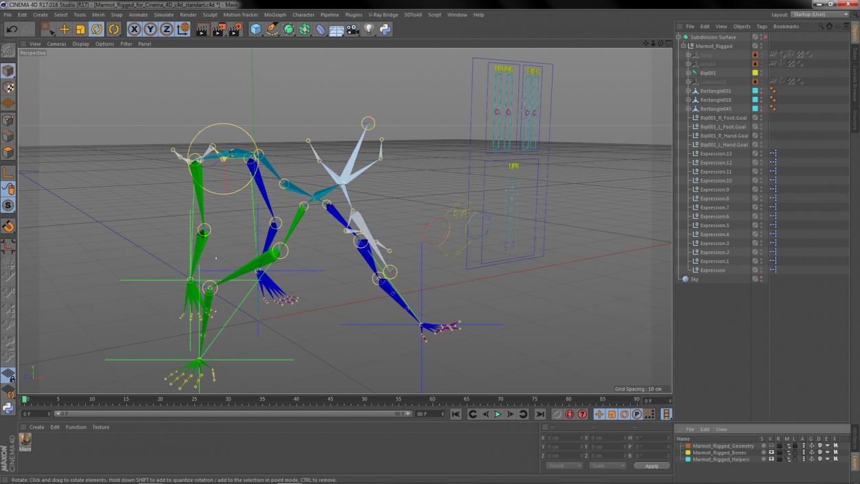 Marmot Rigged for Cinema 4D 3D