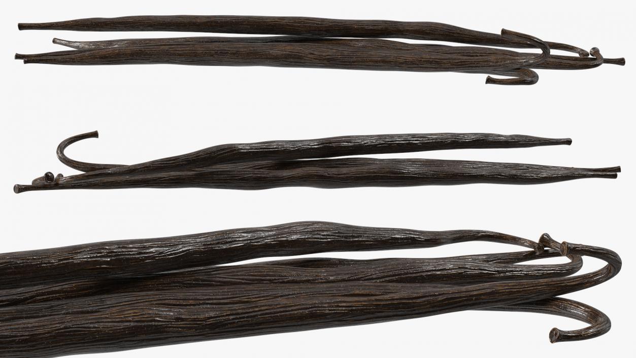 Vanilla Sticks 3D model