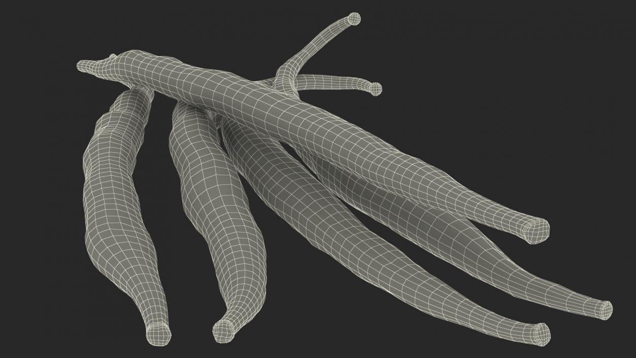 Vanilla Sticks 3D model