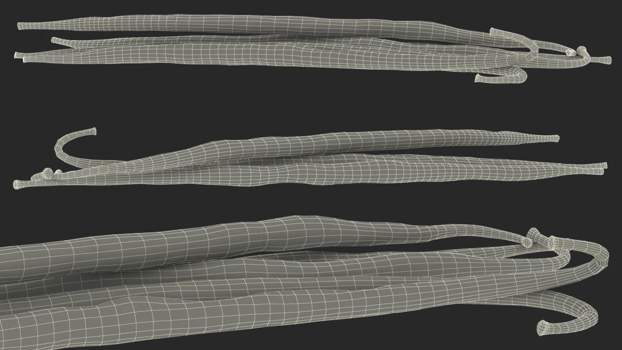 Vanilla Sticks 3D model