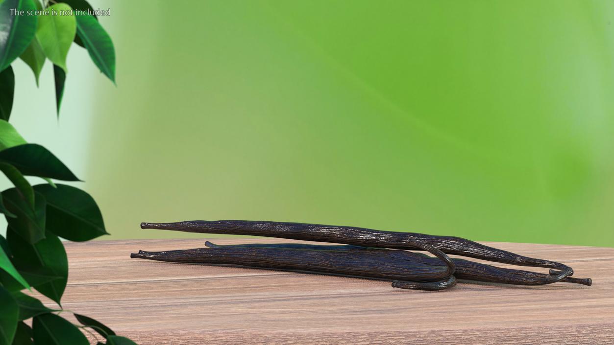 Vanilla Sticks 3D model