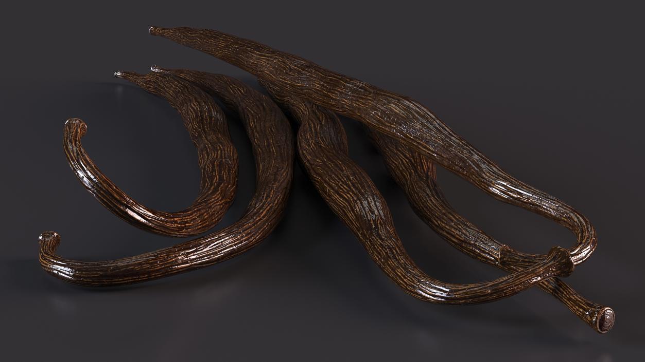 Vanilla Sticks 3D model