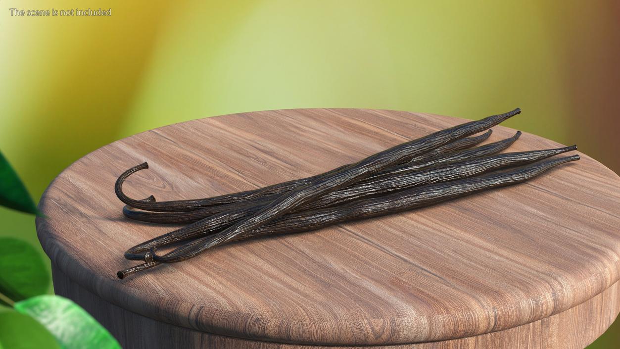 Vanilla Sticks 3D model