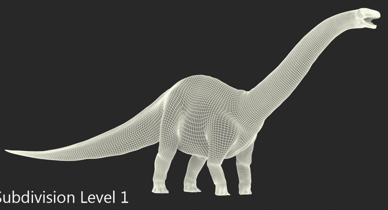 3D model Apatosaurus Dinosaur