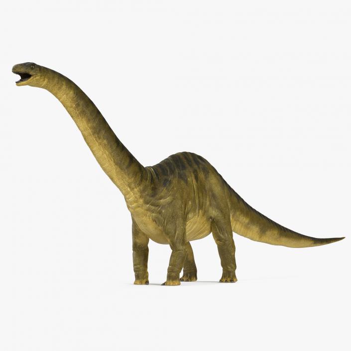 3D model Dinosaurs Collection