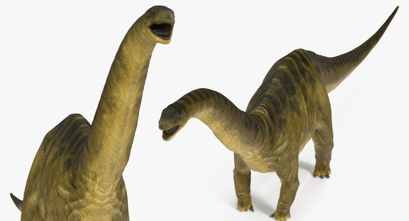 3D model Apatosaurus Dinosaur