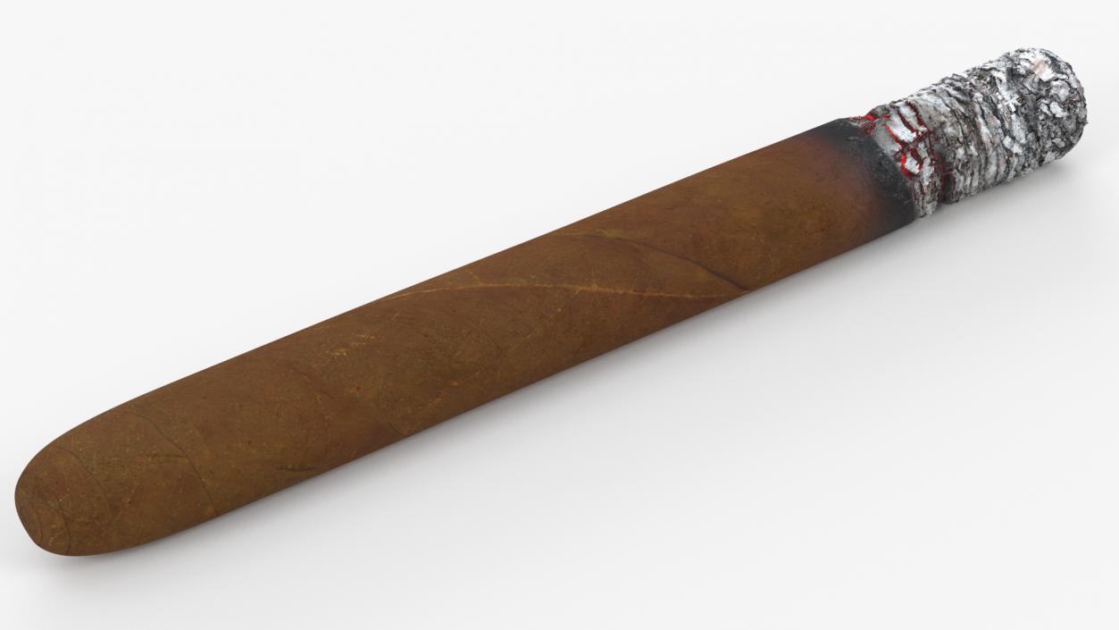 Cuban Cigar Long Burning 3D model