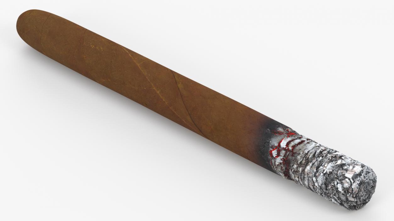 Cuban Cigar Long Burning 3D model