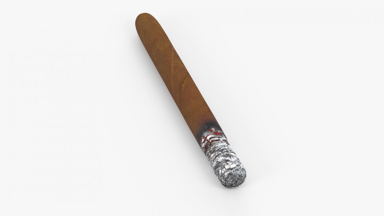 Cuban Cigar Long Burning 3D model