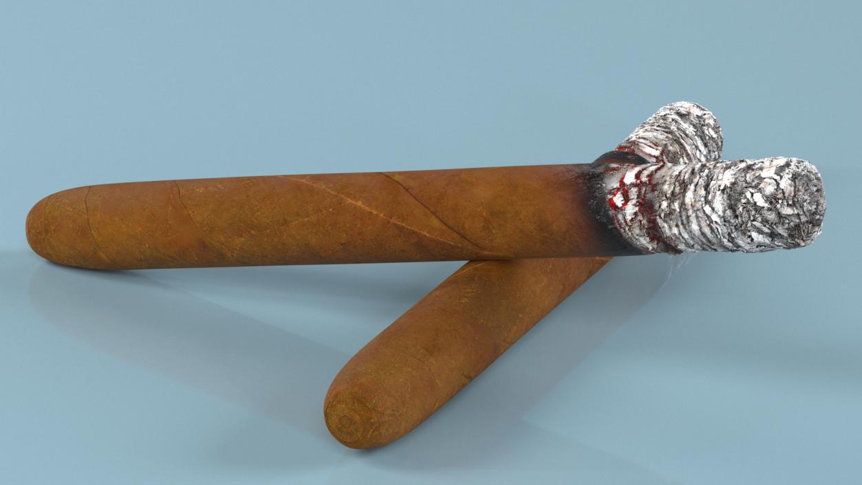 Cuban Cigar Long Burning 3D model