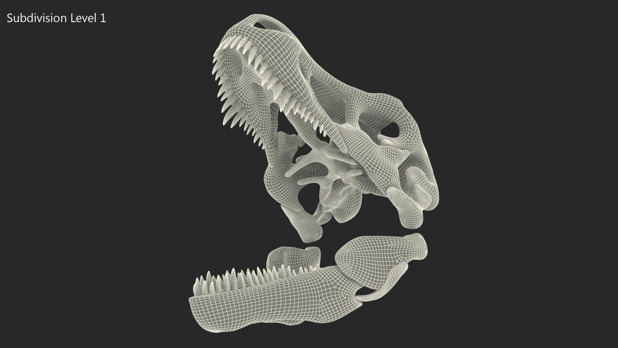 3D T Rex Skull Fossil model