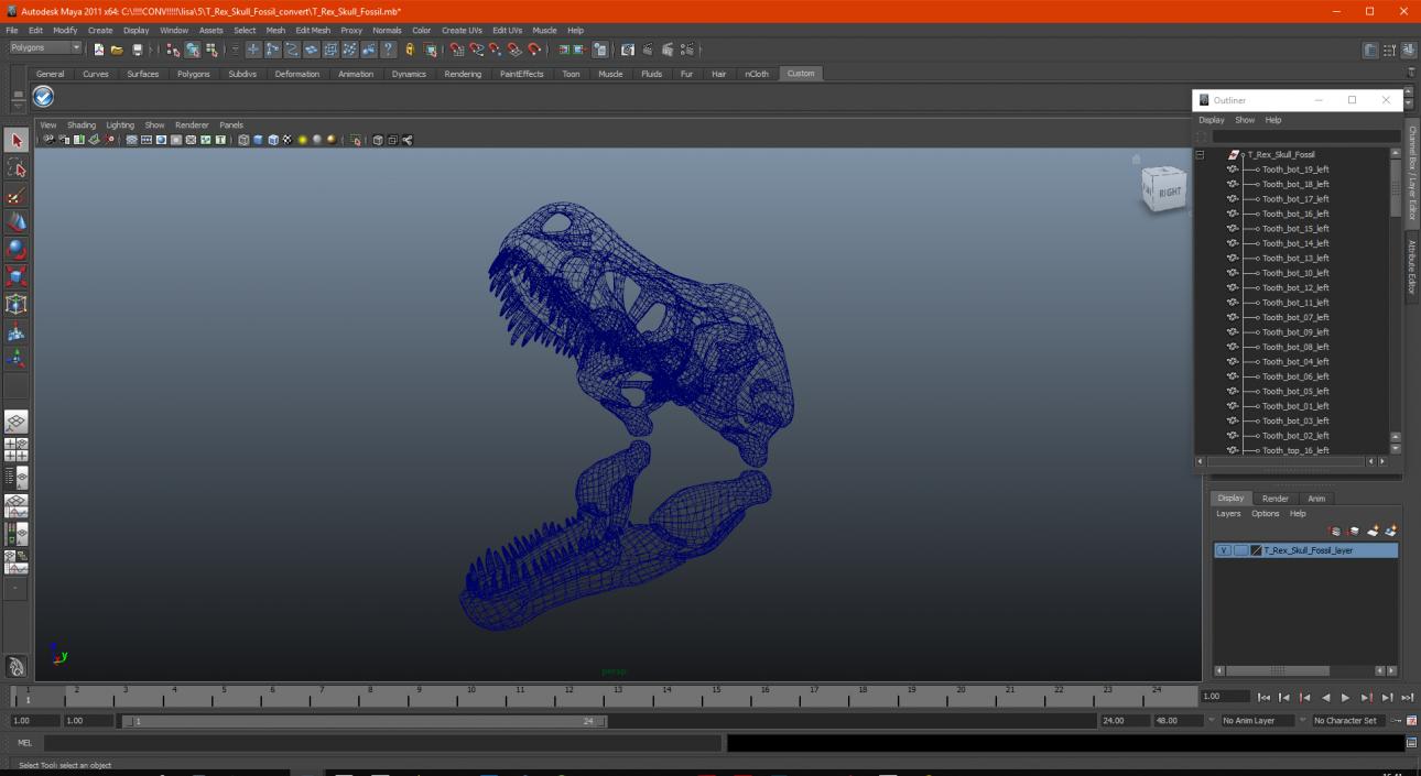 3D T Rex Skull Fossil model