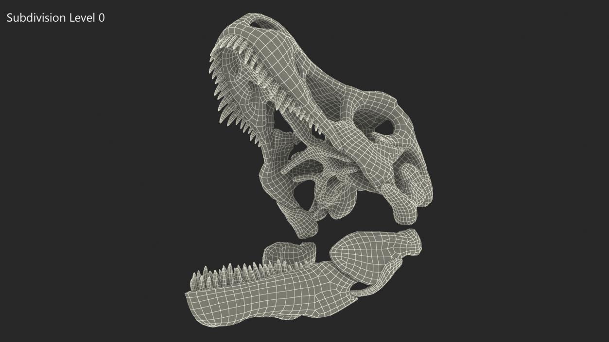 3D T Rex Skull Fossil model