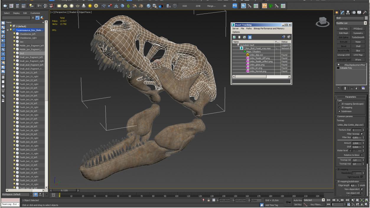 3D T Rex Skull Fossil model