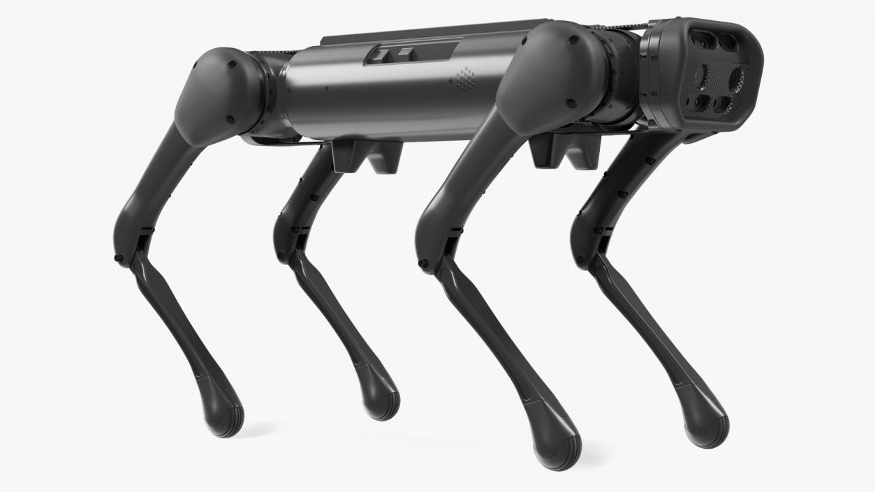 3D model Aliengo Robot Dog(1)