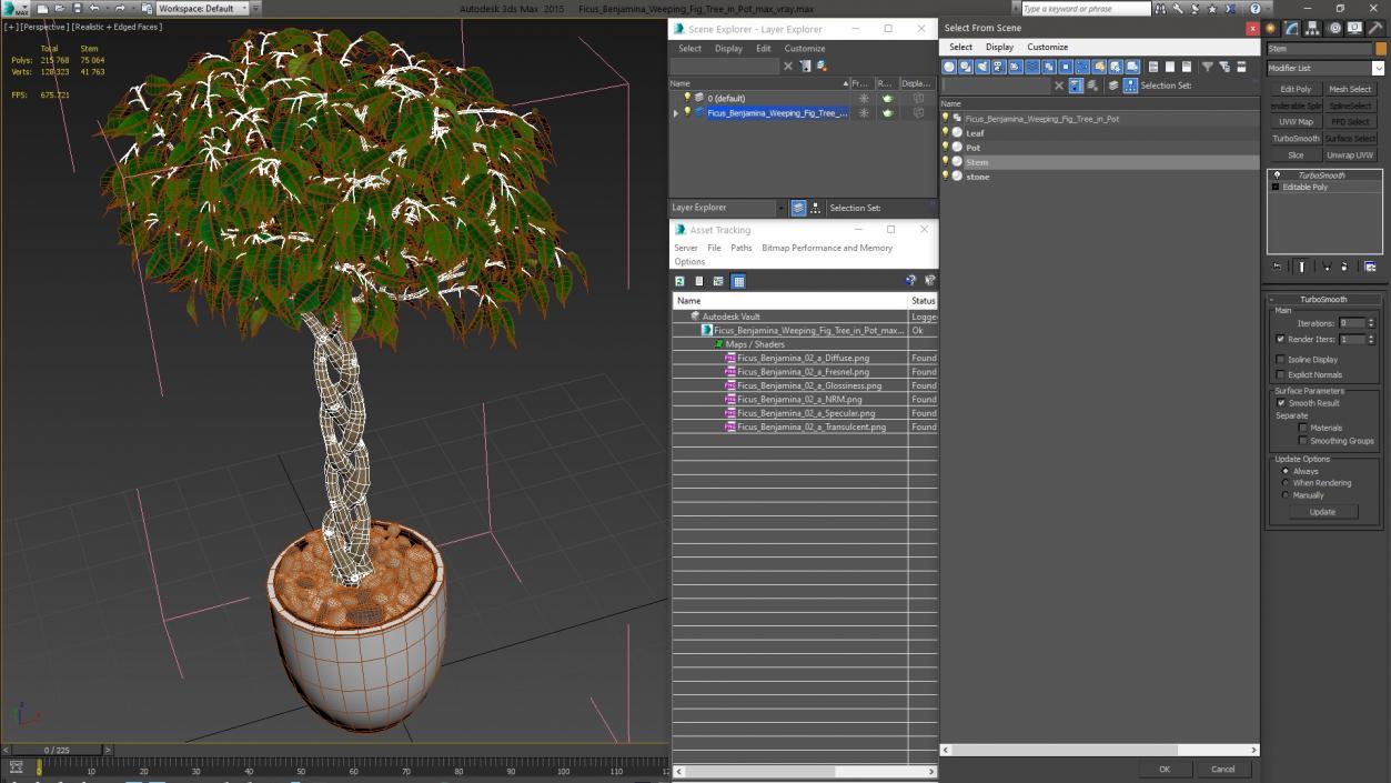 Ficus Benjamina Weeping Fig Tree in Pot 3D model