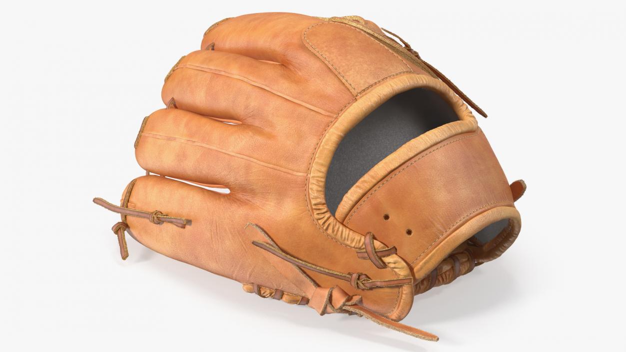 Pro Series Baseball Glove Fur 3D model