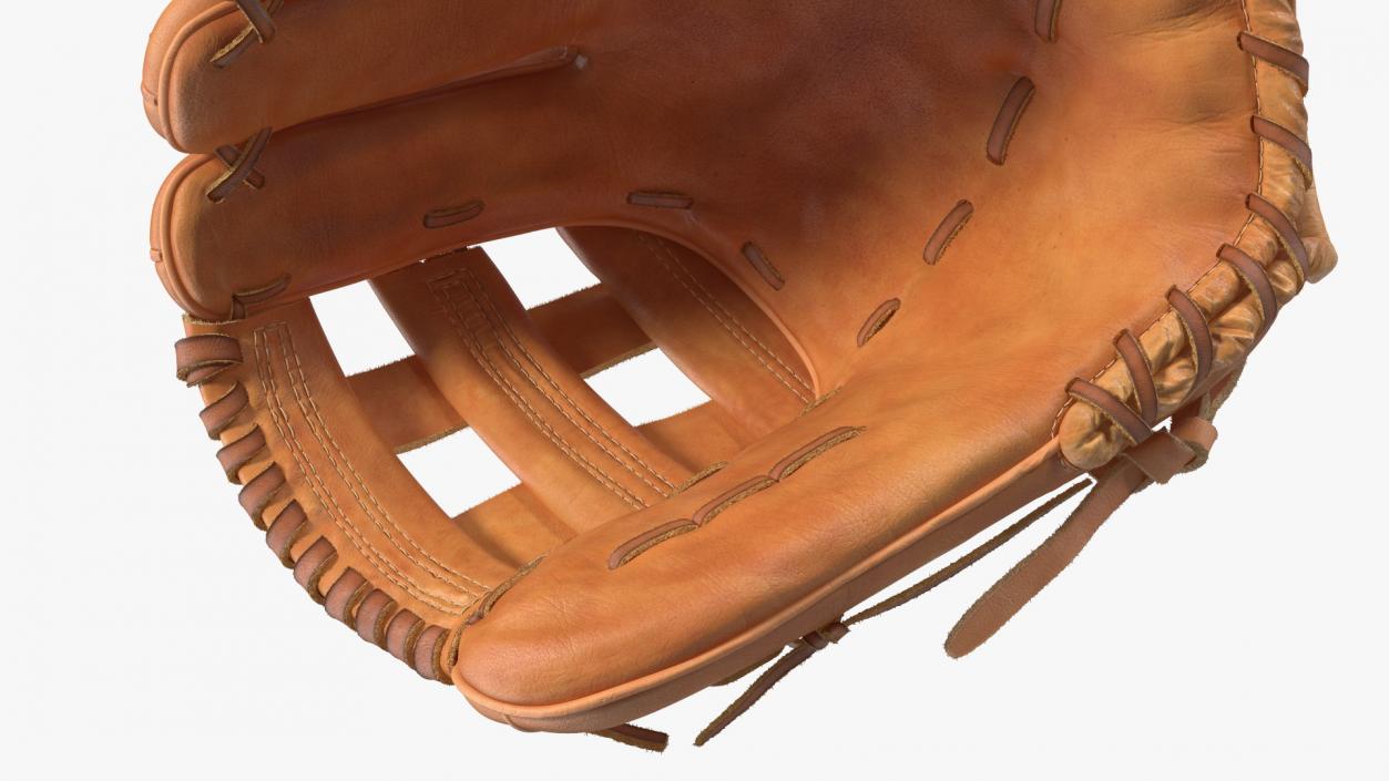 Pro Series Baseball Glove Fur 3D model