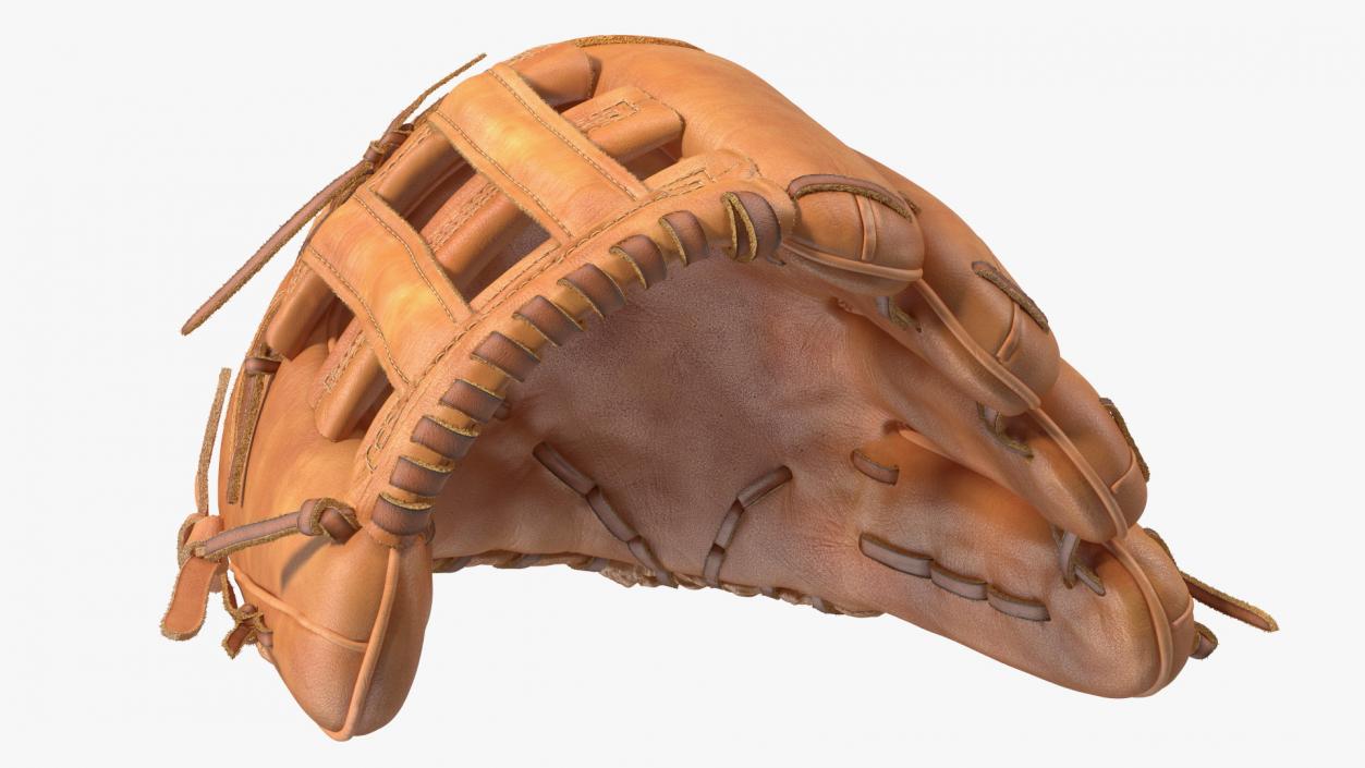 Pro Series Baseball Glove Fur 3D model