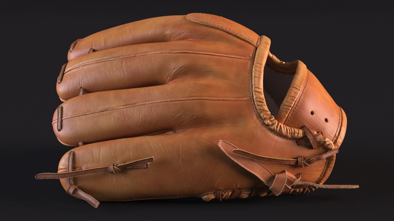 Pro Series Baseball Glove Fur 3D model