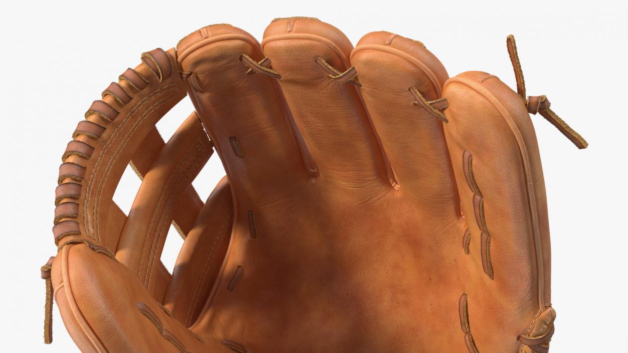 Pro Series Baseball Glove Fur 3D model