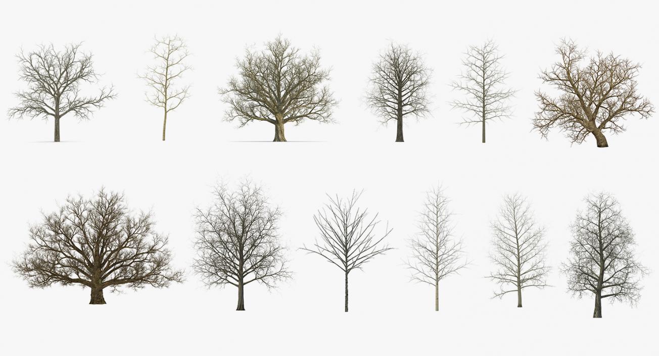 3D model Winter Trees Collection 2