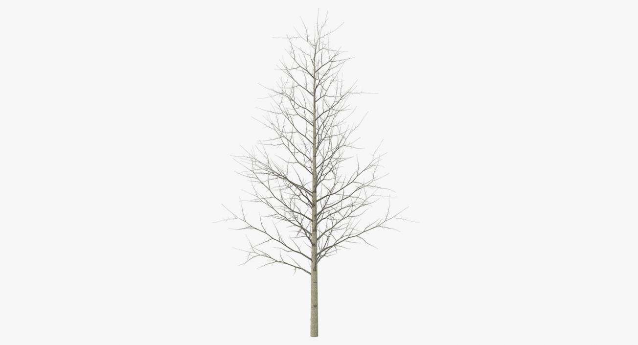 3D model Winter Trees Collection 2