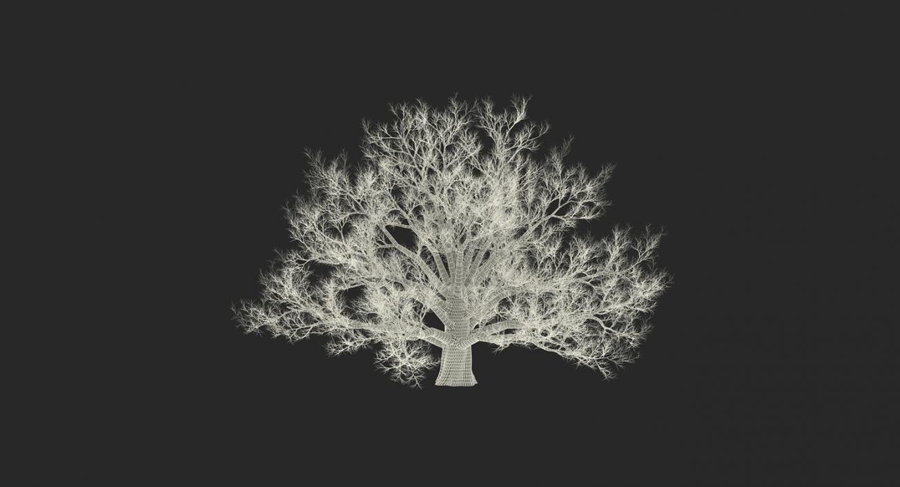 3D model Winter Trees Collection 2