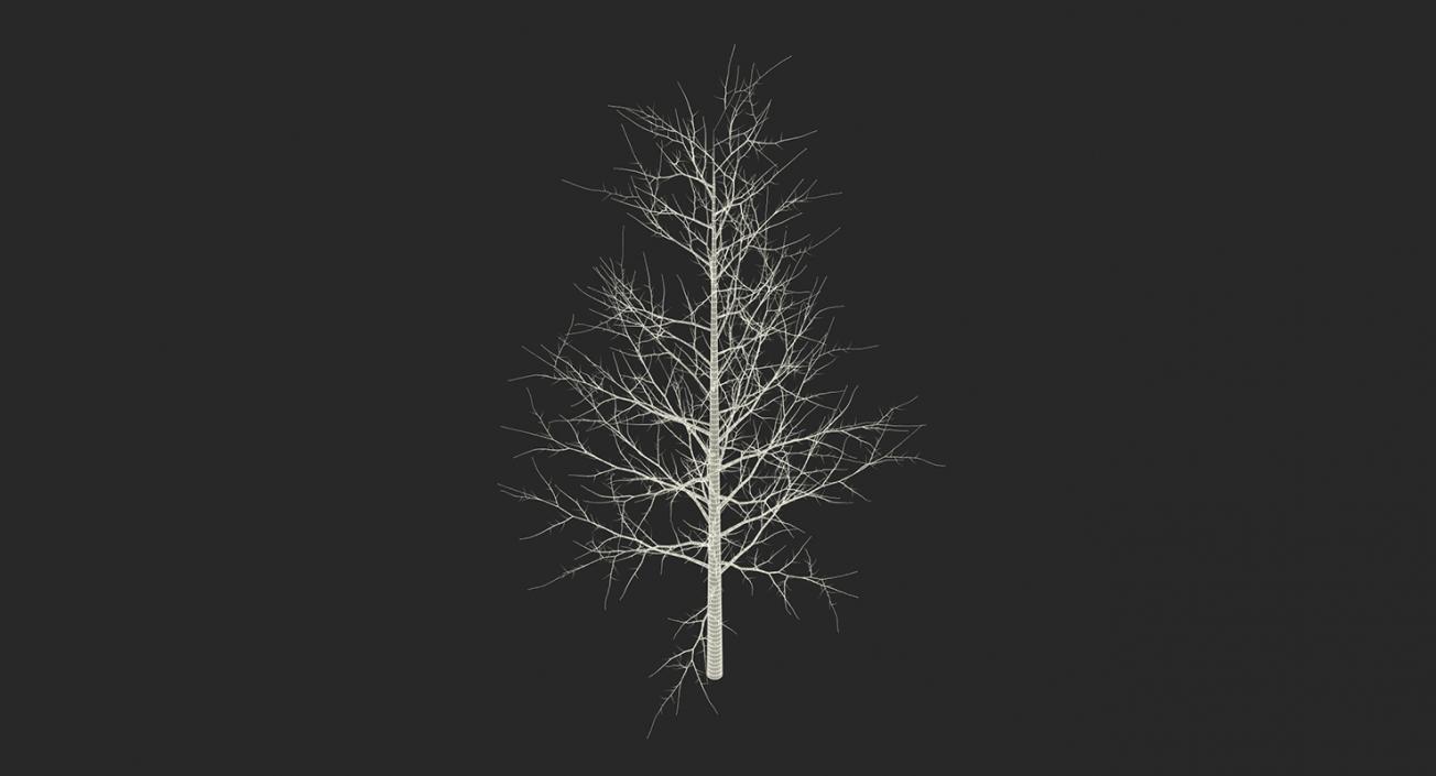 3D model Winter Trees Collection 2