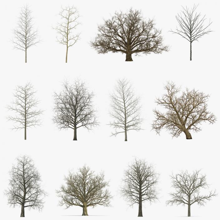 3D model Winter Trees Collection 2