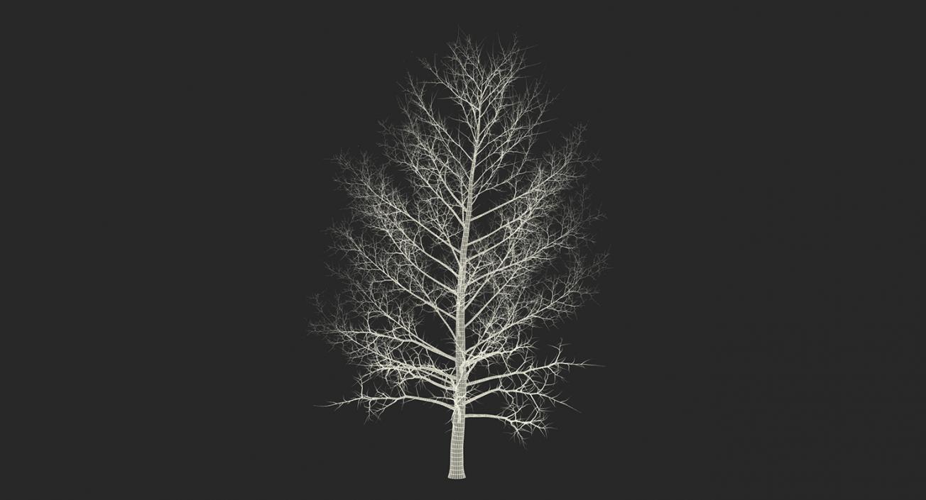 3D model Winter Trees Collection 2